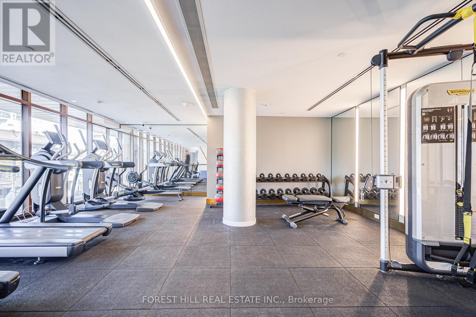 A gym with treadmills, weights and other equipment.