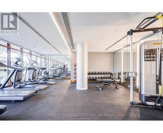 A gym with treadmills, weights and other equipment.