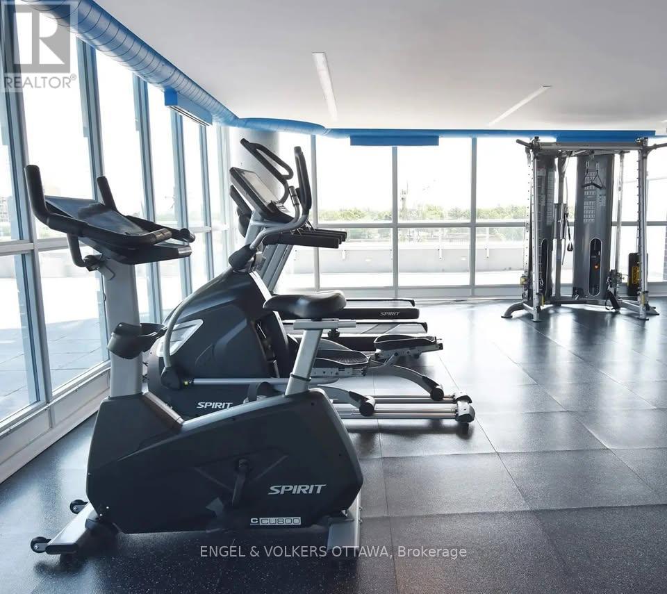 A gym with treadmills and exercise equipment.