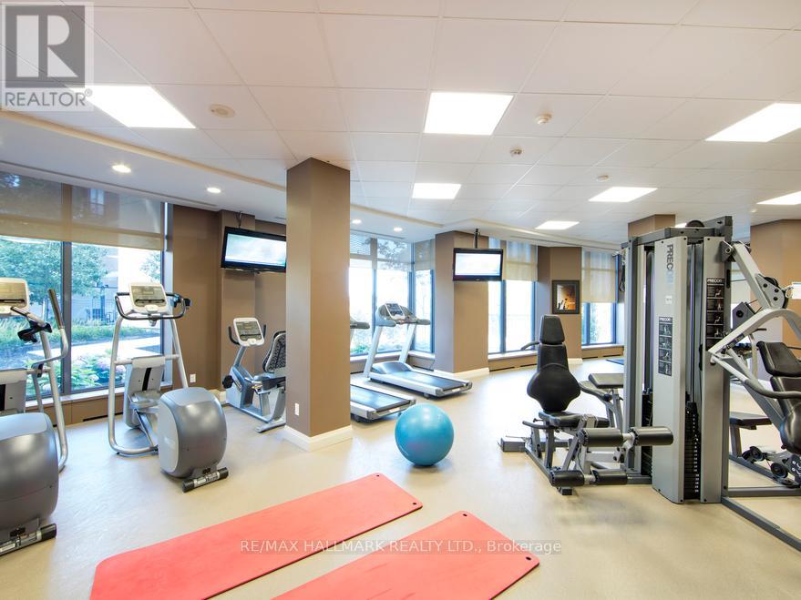 A gym with a variety of equipment including treadmills, weights, and exercise balls.