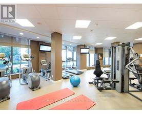 A gym with a variety of equipment including treadmills, weights, and exercise balls.