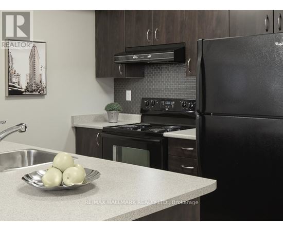 A kitchen with a black refrigerator and a sink with a bowl of onions on the counter.