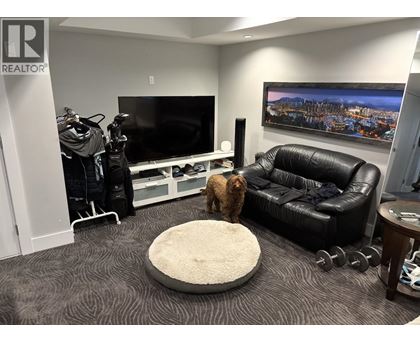 A dog is standing on a rug in a living room.