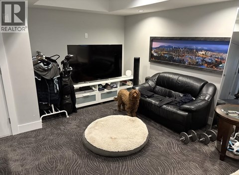 A dog is standing on a rug in a living room.