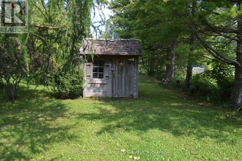 A small wooden shed sits in a grassy area surrounded by trees.