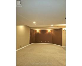 A spacious room with carpeted floor and a brown accent wall.