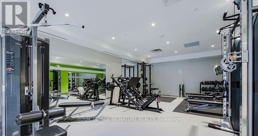 A gym with a variety of equipment including a squat rack, bench press, and a rowing machine.