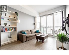 A living room with a couch, a coffee table, a bookshelf, and a plant.