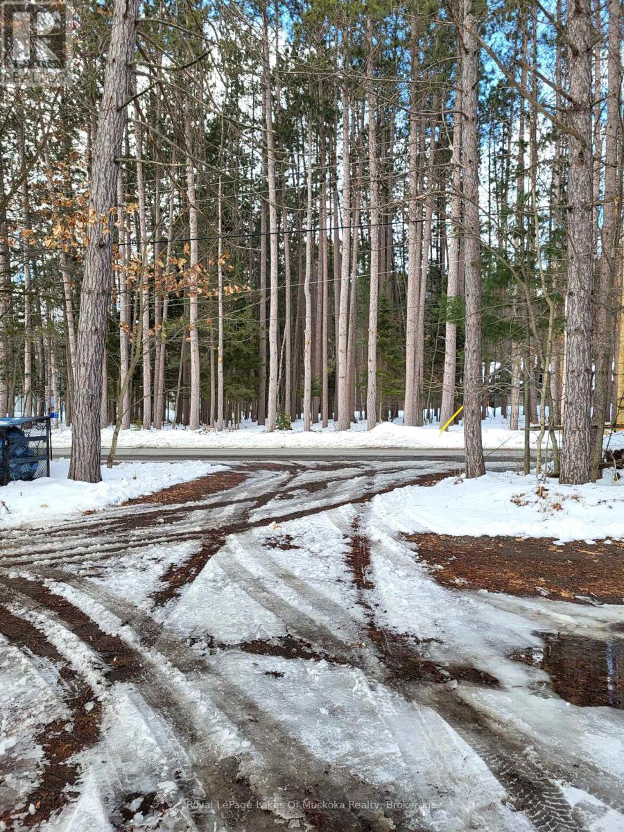 A snowy path in a forest with trees on both sides.