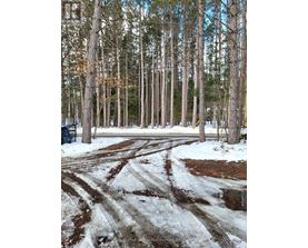 A snowy path in a forest with trees on both sides.