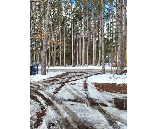 A snowy path in a forest with trees on both sides.