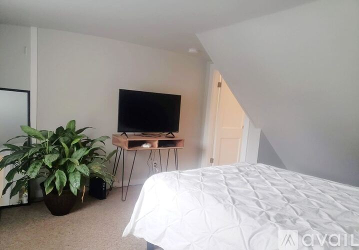 A bedroom with a bed, a television, and a plant.