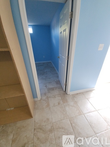 A hallway with a blue wall and a white door.