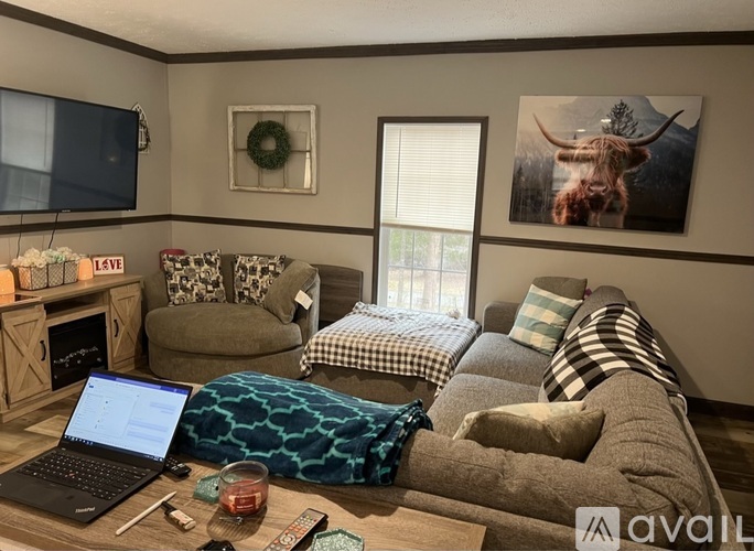 A living room with a couch, a chair, a coffee table, a laptop, a wreath, a window, and a picture of a bull.