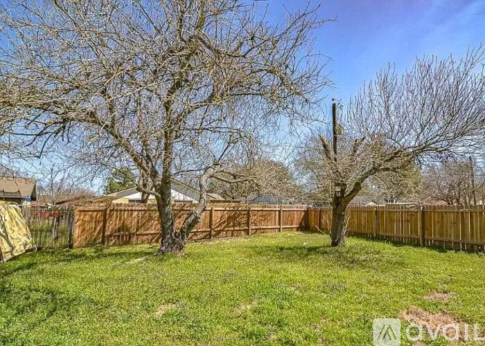 A backyard with a fence and two leafless trees.