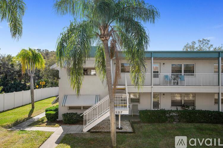 A white building with a palm tree in front of it.