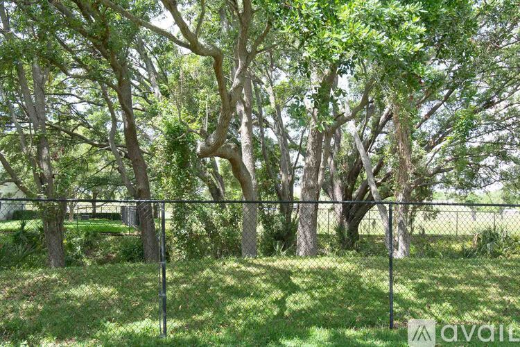 A black fence separates a grassy area from a wooded area.