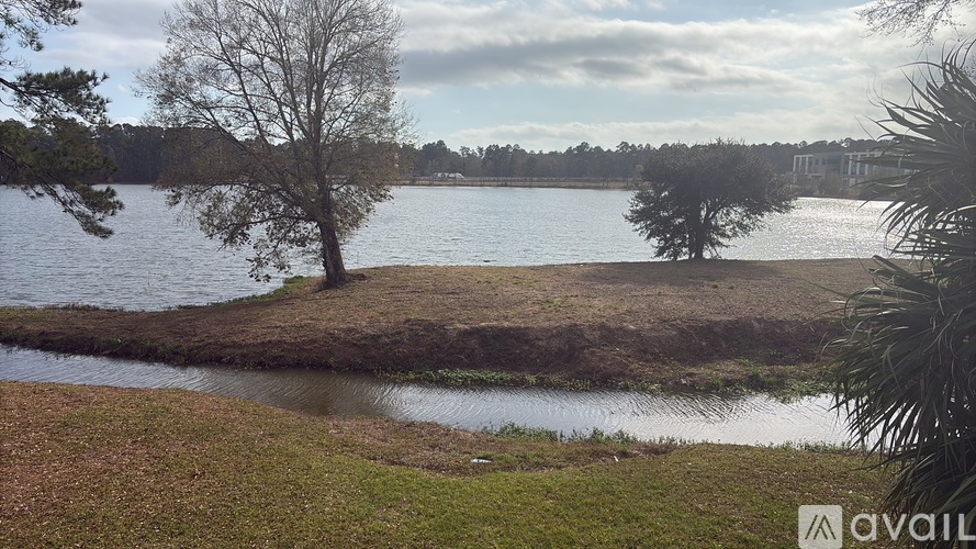 A body of water surrounded by trees and grass.