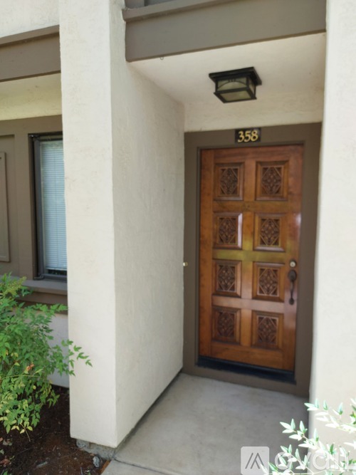 A brown door with the number 358 above it.