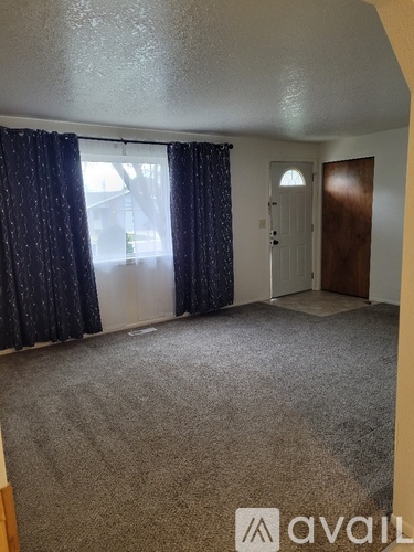 A room with a carpeted floor, a door, and a window with curtains.