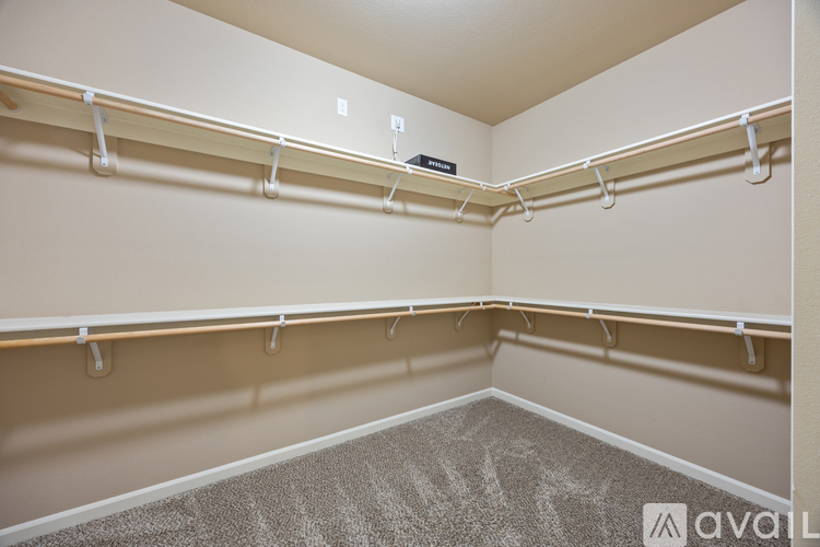 Empty walk-in closet with shelves and hooks.