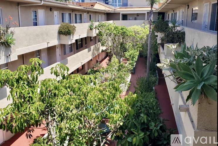 A balcony with green plants and trees.