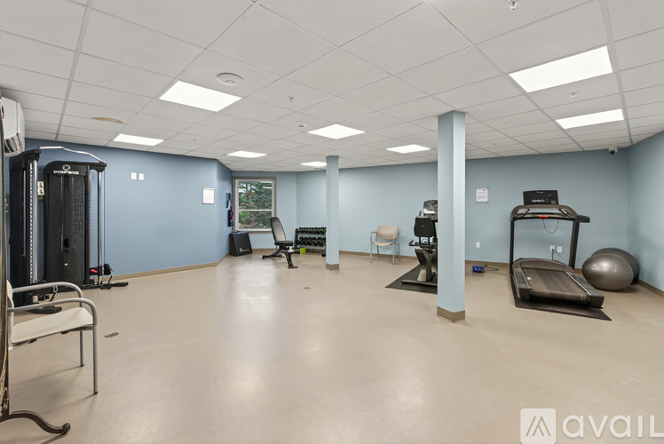 A gym with a variety of equipment including treadmills, weights, and exercise balls.