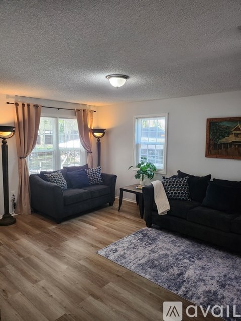 A living room with two couches and a rug.