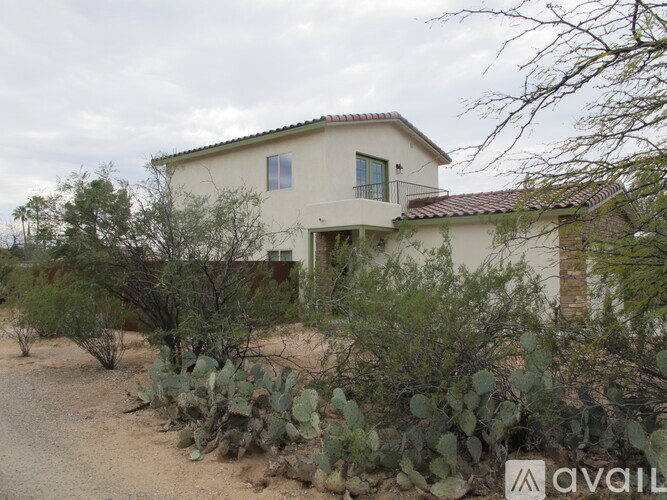 A house with a cactus in front of it.