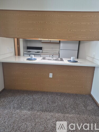 A kitchen area with a sink and a counter.