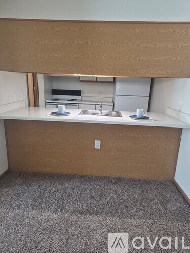 A kitchen area with a sink and a counter.