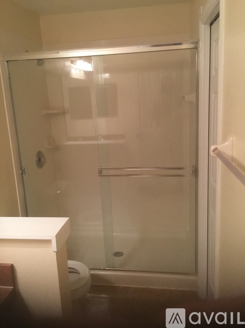 A bathroom with a toilet and a walk-in shower.