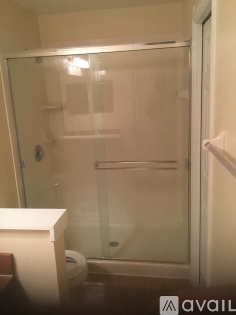 A bathroom with a toilet and a walk-in shower.