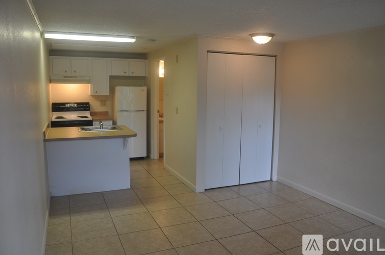 A kitchen area with a counter and cabinets.