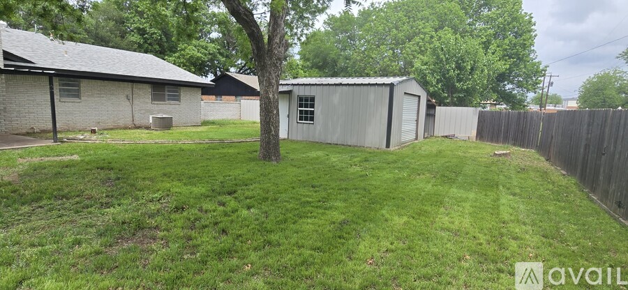 A backyard with a shed and a tree.