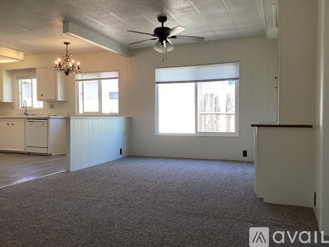 A spacious room with a ceiling fan and carpeted floor.