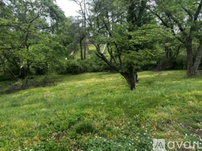 A grassy field with trees and bushes in the background.