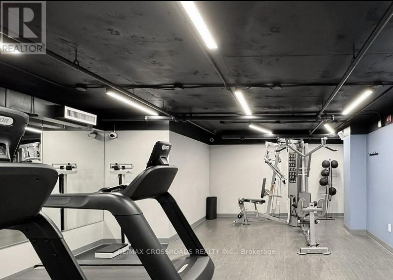 A gym with a treadmill, weights and exercise equipment.