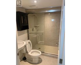 A bathroom with a toilet, a cabinet, and a walk-in shower.