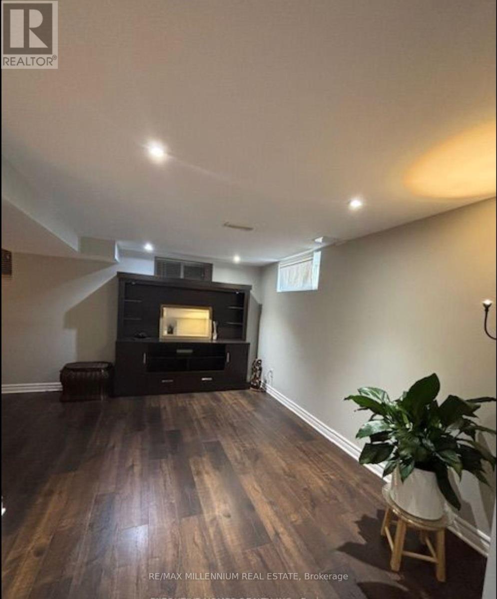 A living room with a fireplace and a plant.