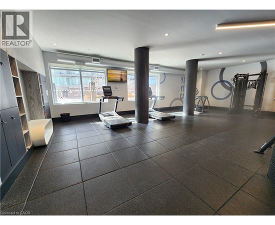 A gym with a treadmill, weights and exercise equipment.