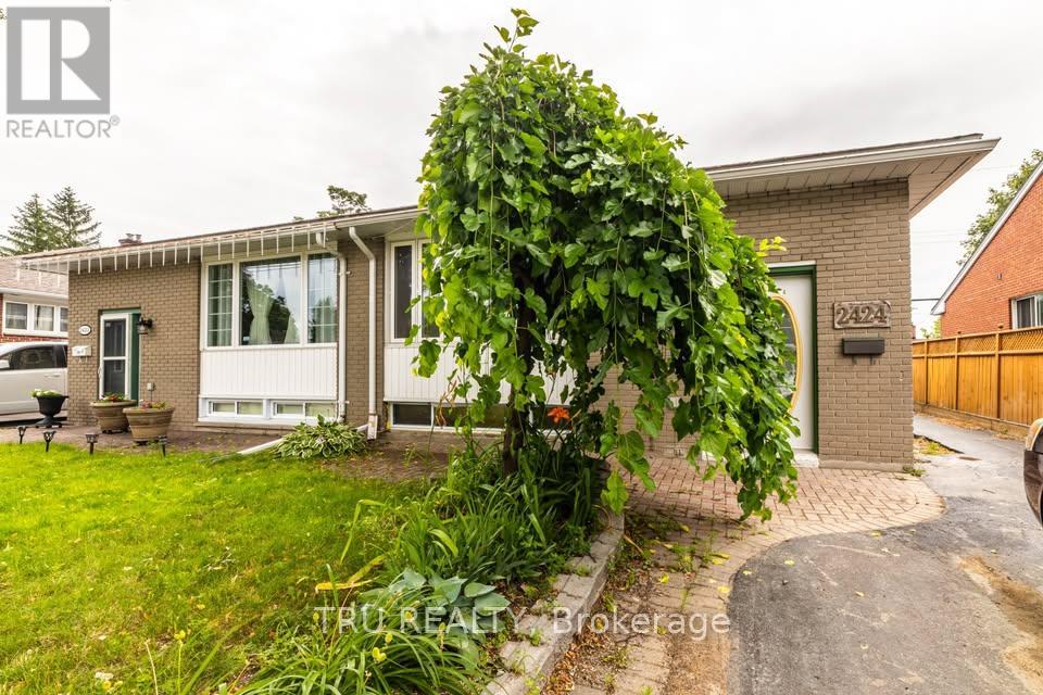A house with a green lawn and a tree in front of it.