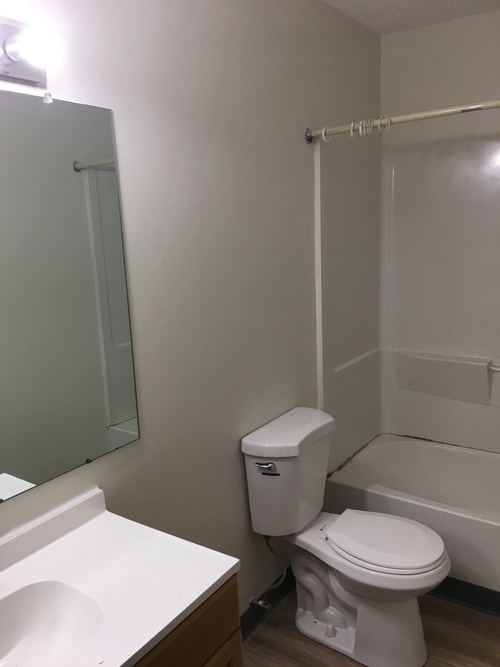 A white toilet sits next to a sink in a small bathroom.