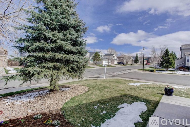 A residential area with a tree and a grassy area.