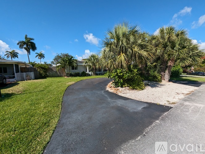 A residential area with a paved path and palm trees.