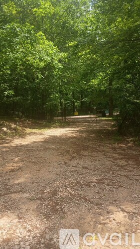 A dirt path surrounded by green trees.