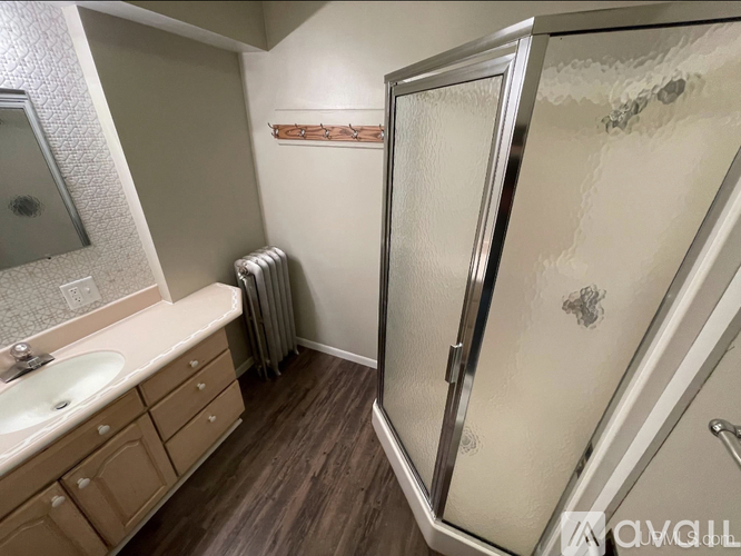 A bathroom with a walk-in shower and a sink.