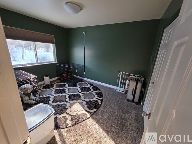 A room with green walls and a black and white rug.