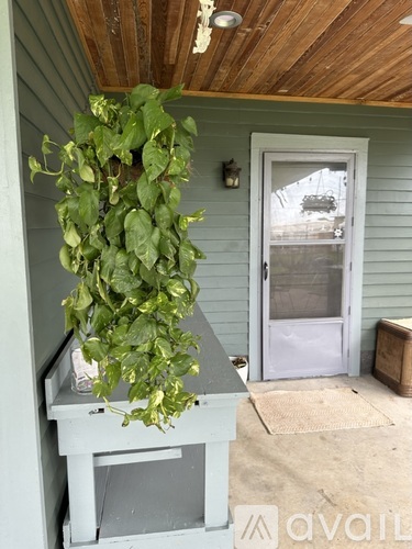 A house with a green plant hanging from the ceiling.