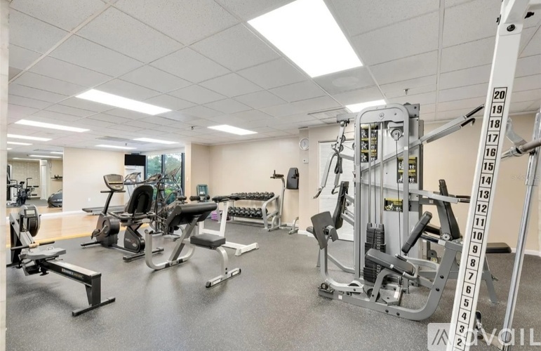 A well-lit gym with treadmills and elliptical machines.